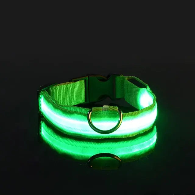 Flashing Glow Dog Collar - SassQuality