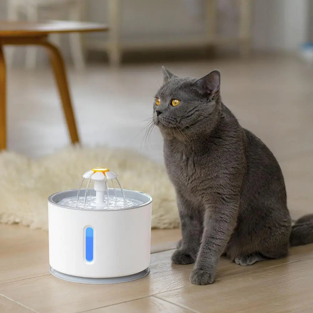 Pet Drinking Fountain Dispenser - SassQuality