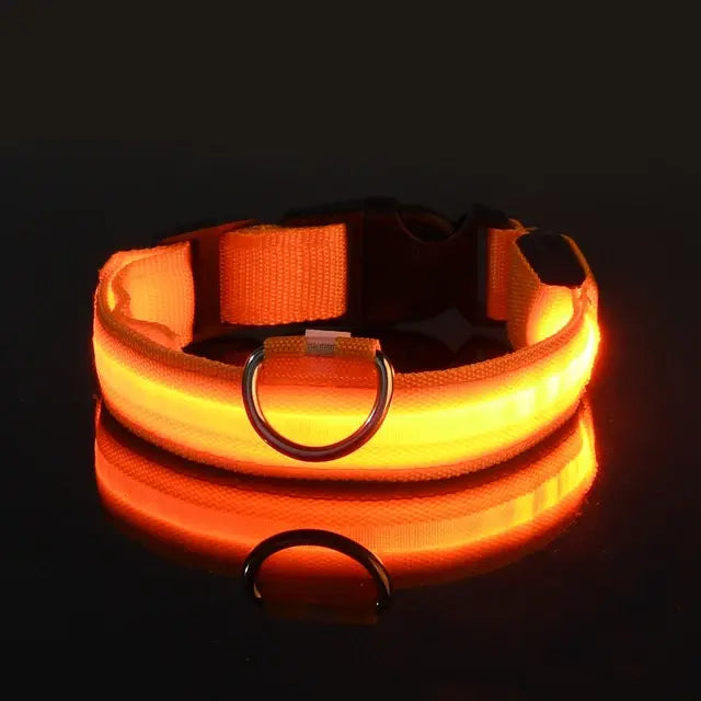 Flashing Glow Dog Collar - SassQuality