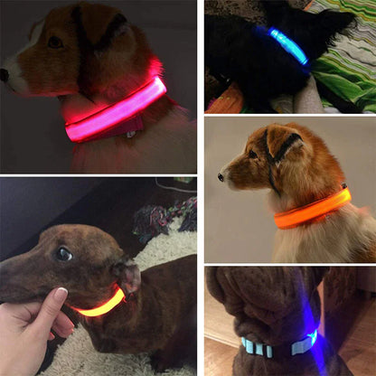 50% Off! LED Adjustable Dog Collar Blinking Flashing Light Up Glow Pets Safety Waterproof