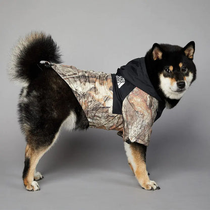 The Modern Paws Dog Coat