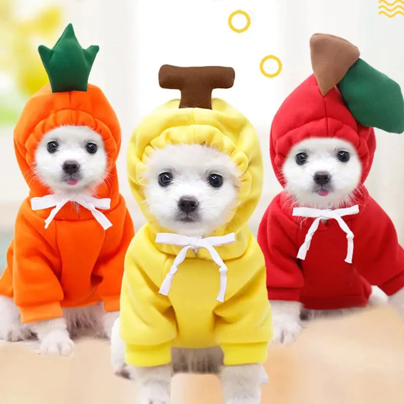 Cute AndCozy Costumes For Pet