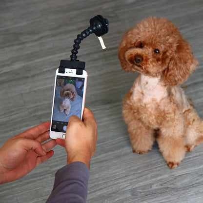 Selfie Stick For Pets Dog Cat