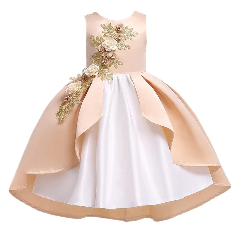 GIrls Elegant Party Dress