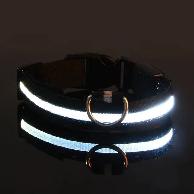 Flashing Glow Dog Collar - SassQuality