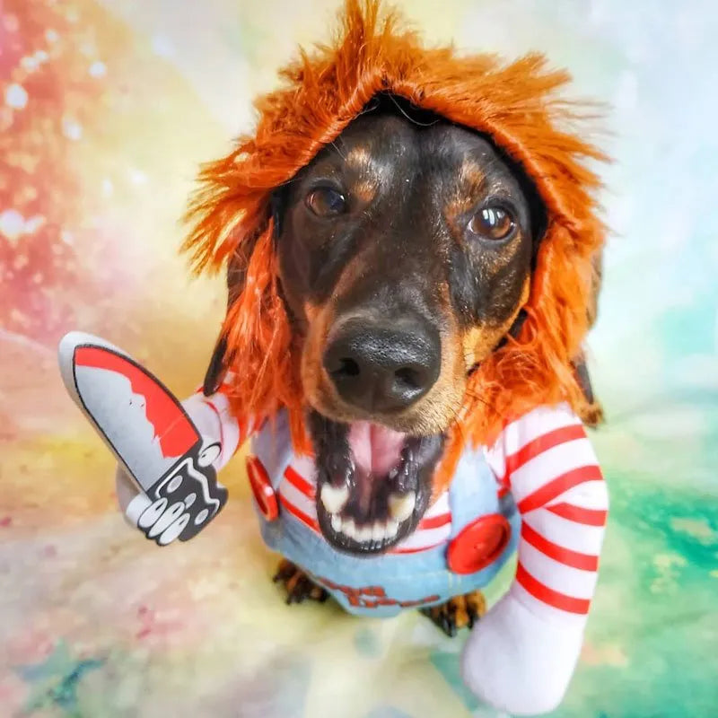 Chucky Dog Costume - SassQuality