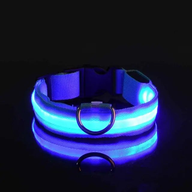 Flashing Glow Dog Collar - SassQuality