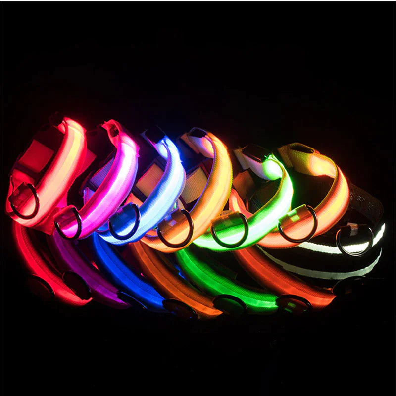 50% Off! LED Adjustable Dog Collar Blinking Flashing Light Up Glow Pets Safety Waterproof