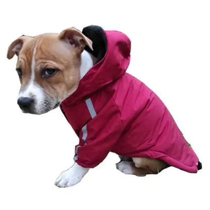 Reflective Pet Hooded Jacket - SassQuality