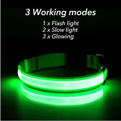 50% Off! LED Adjustable Dog Collar Blinking Flashing Light Up Glow Pets Safety Waterproof