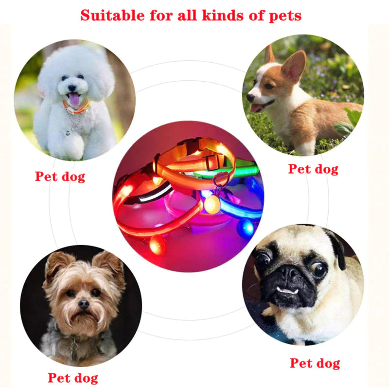 50% Off! LED Adjustable Dog Collar Blinking Flashing Light Up Glow Pets Safety Waterproof