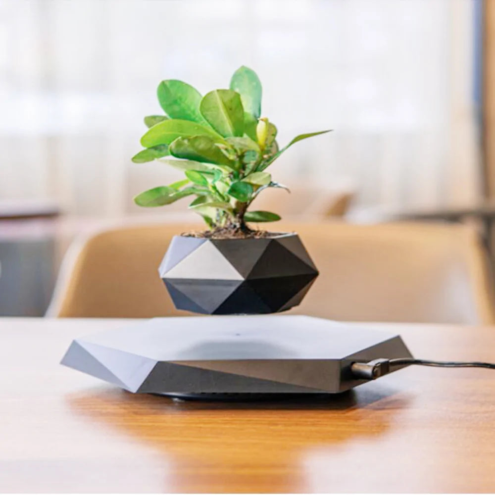 Floating Magnetic Levitating Flower Pot - SassQuality