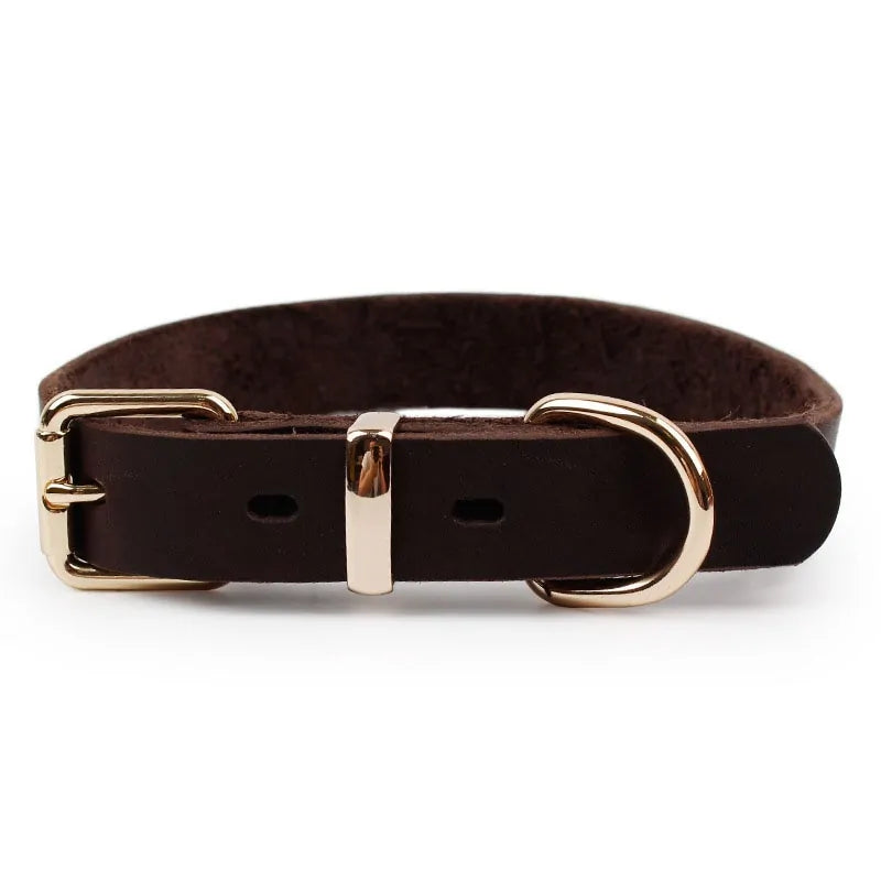 Leather Dog Collar