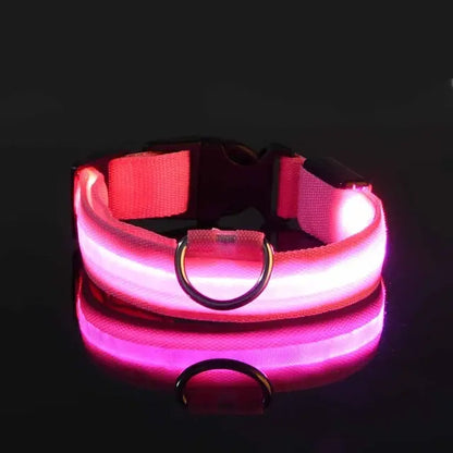 Flashing Glow Dog Collar - SassQuality