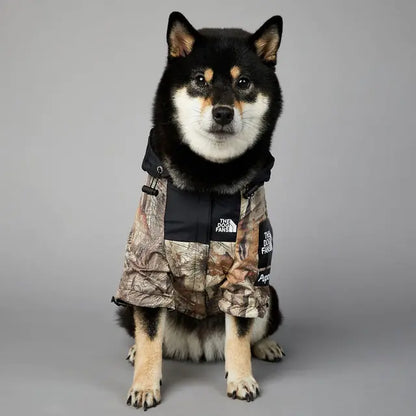 The Modern Paws Dog Coat