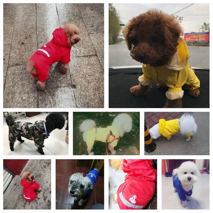 Stylish Dog Raincoat