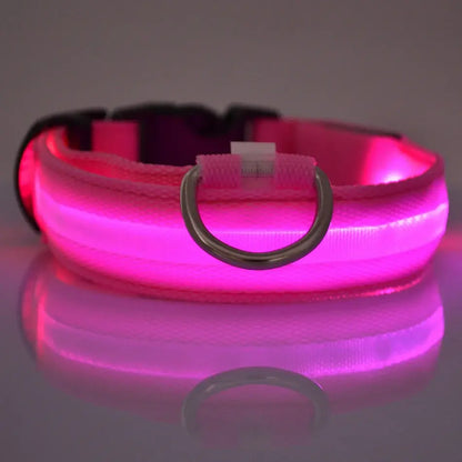 Flashing Glow Dog Collar - SassQuality