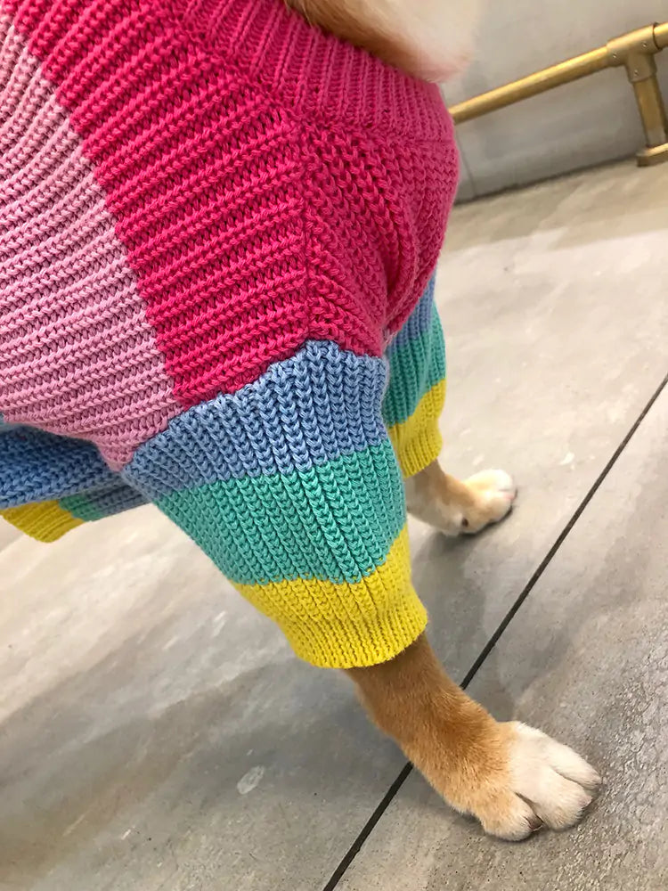 Puppy Knitted Rainbow Sweater - SassQuality