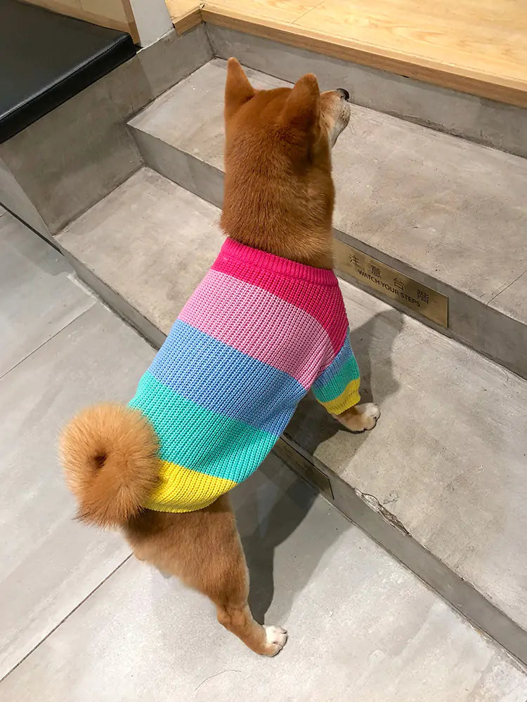 Puppy Knitted Rainbow Sweater - SassQuality