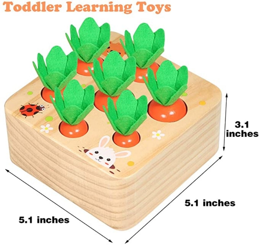 Wooden Toys for Toddlers - SassQuality