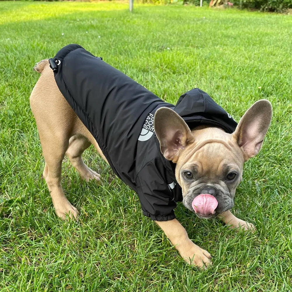 Reflective Pet Hooded Jacket - SassQuality