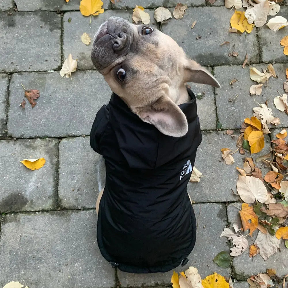 Reflective Pet Hooded Jacket - SassQuality