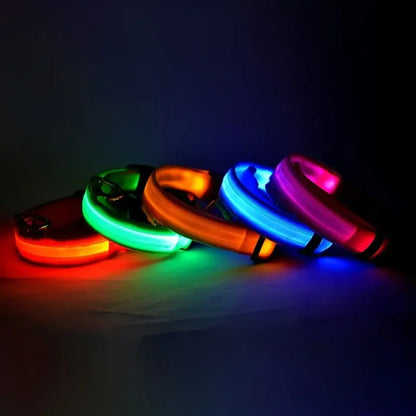 Flashing Glow Dog Collar - SassQuality