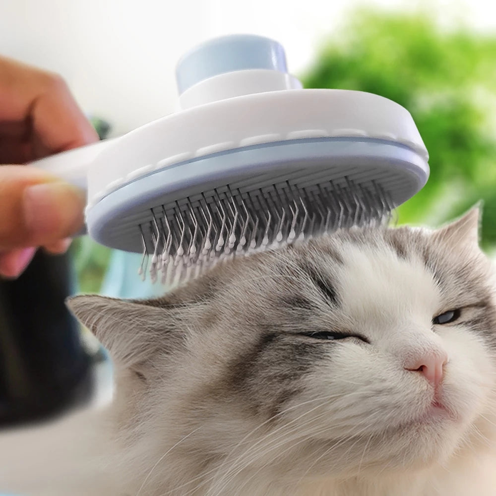 Pet Brush - SassQuality