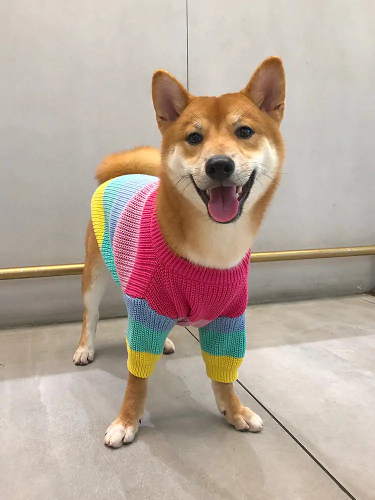 Puppy Knitted Rainbow Sweater - SassQuality