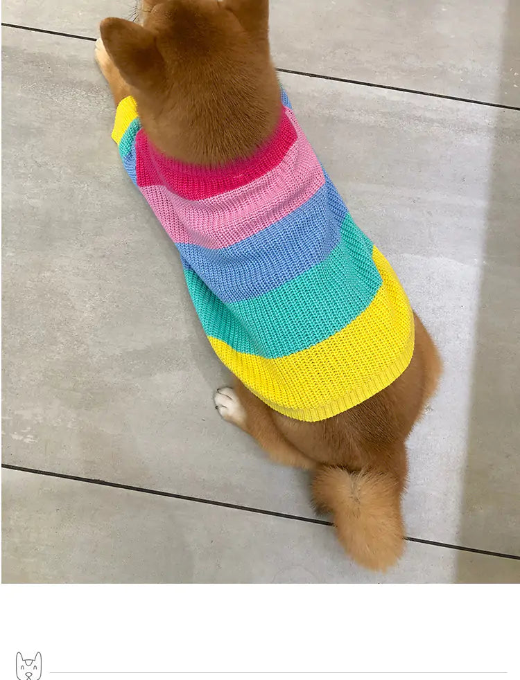 Puppy Knitted Rainbow Sweater - SassQuality